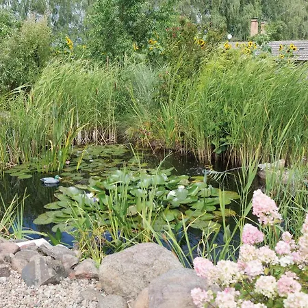 Einraumapartment Mit Seeblickbalkon Aparthotel Rheinsberg