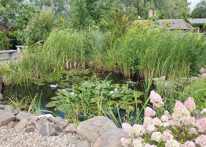 Einraumapartment Mit Seeblickbalkon アパートホテル ラインスベルク